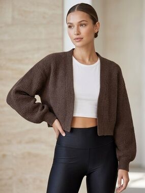 Aritzia Wilfred Free Chocolate Brown Crop Sweater